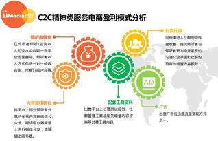 艾媒报告 2017上半年中国精神类电商行业市场研究报告