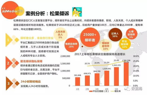 艾媒咨询 2017上半年中国精神类服务电商市场研究报告